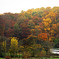 FALL AT VALLEY FORGE