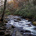 FALL SECLUSION