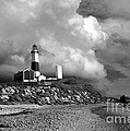MONTAUK BLACk AND WHITE